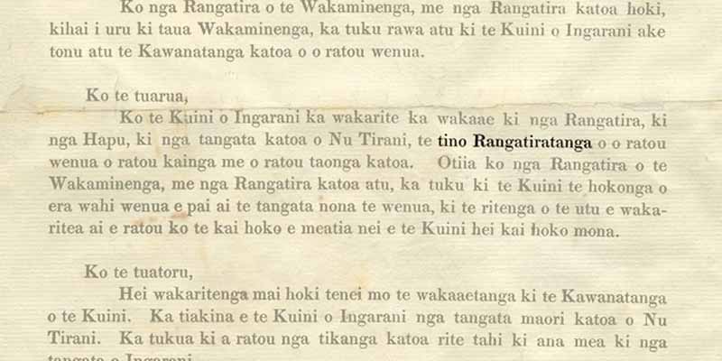 DIY Treaty of Waitangi ↗