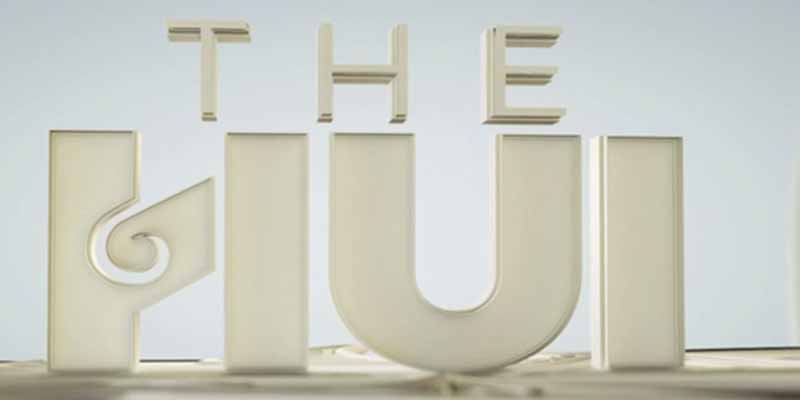 The Hui: The Art of Aute ↗