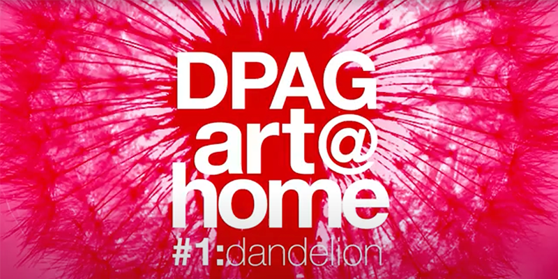 DPAGart@home: Dandelion