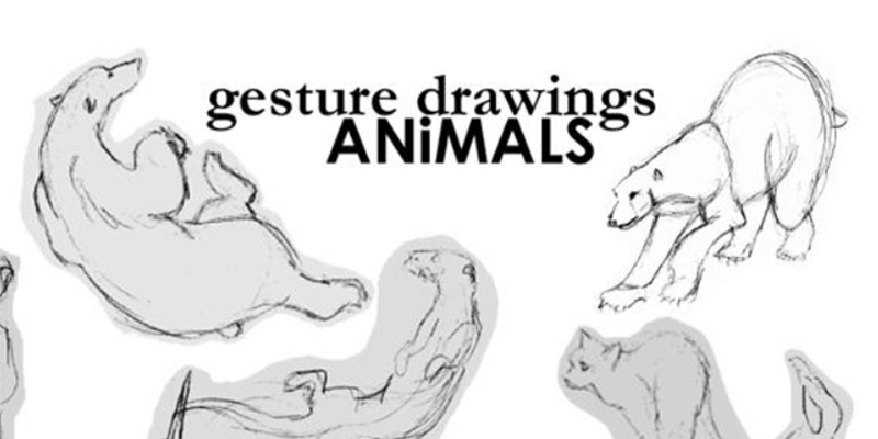 Gestural Animals Drawing Activity