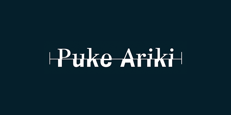 Puke Ariki Website ↗